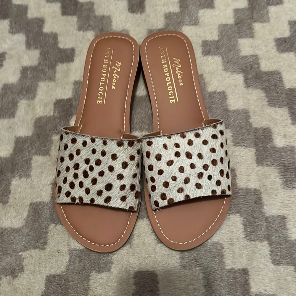 Matisse / Anthropologie slides